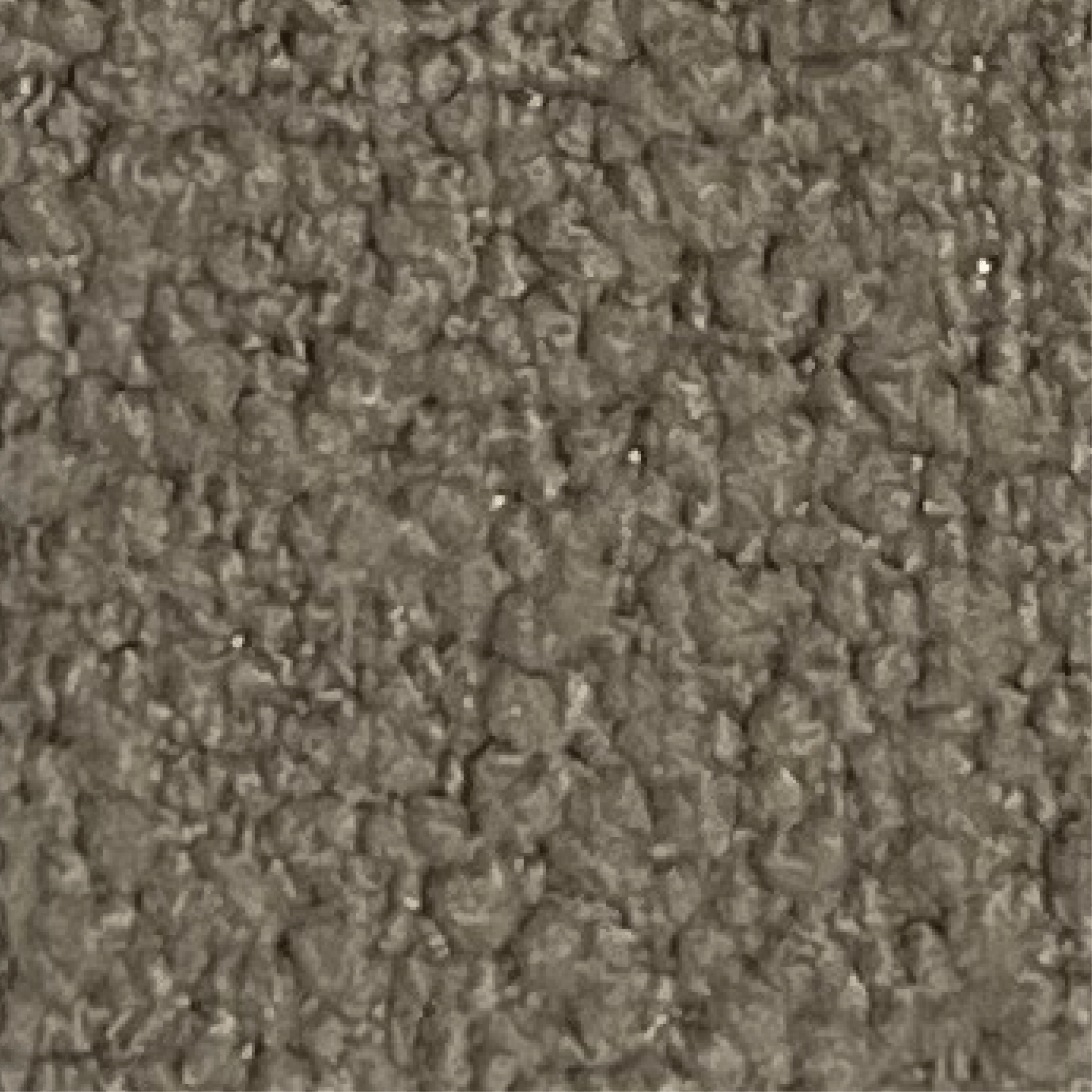 HYT Fabric - 02 - Artspire Home