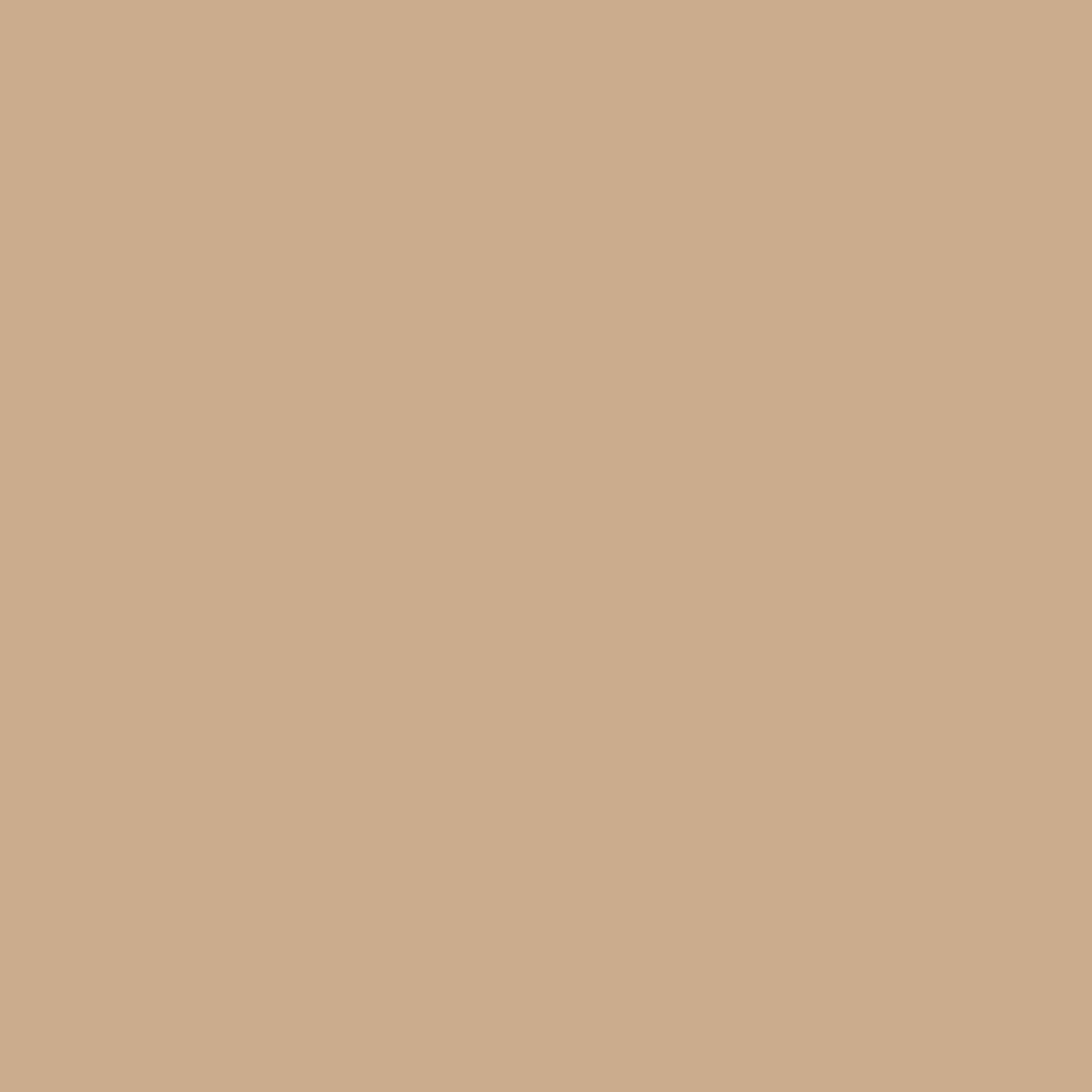 Steel Surface - Beige - Artspire Home