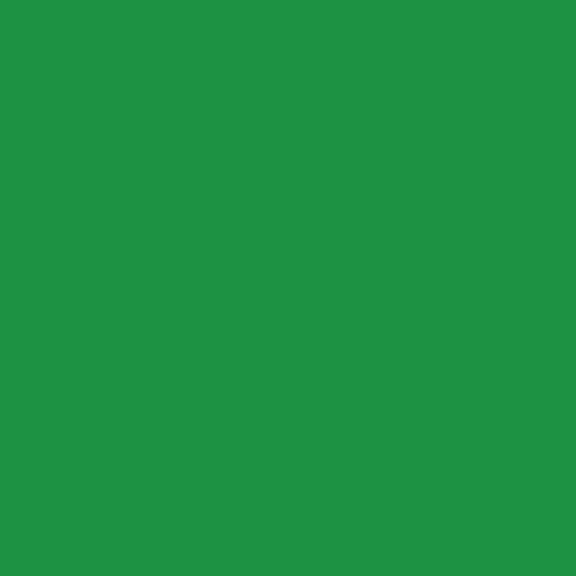 Steel Surface - Green - Artspire Home