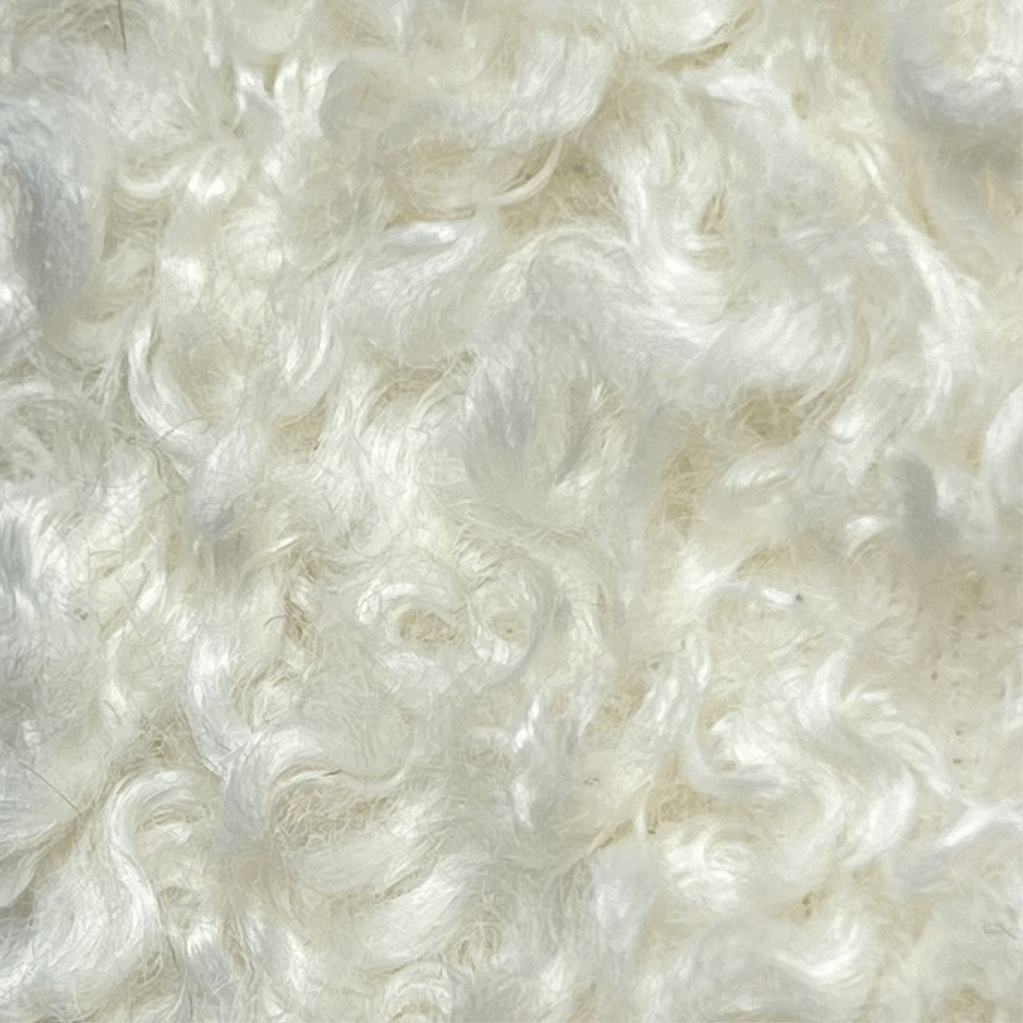 WG Fabric - 01 - Artspire Home
