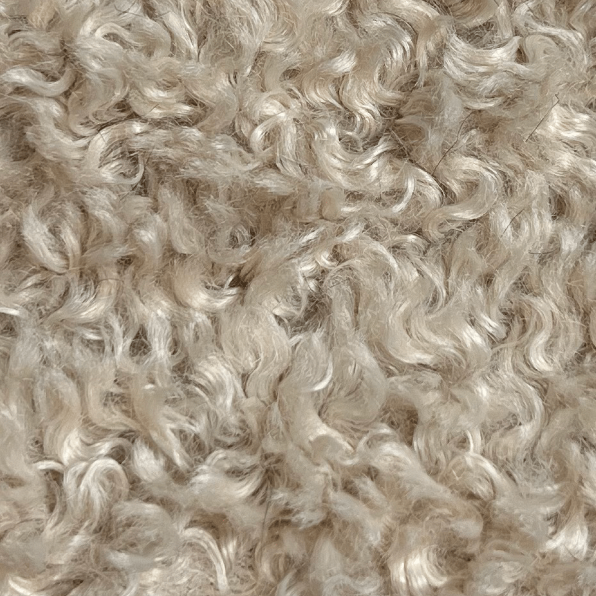 WG Fabric - 02 - Artspire Home
