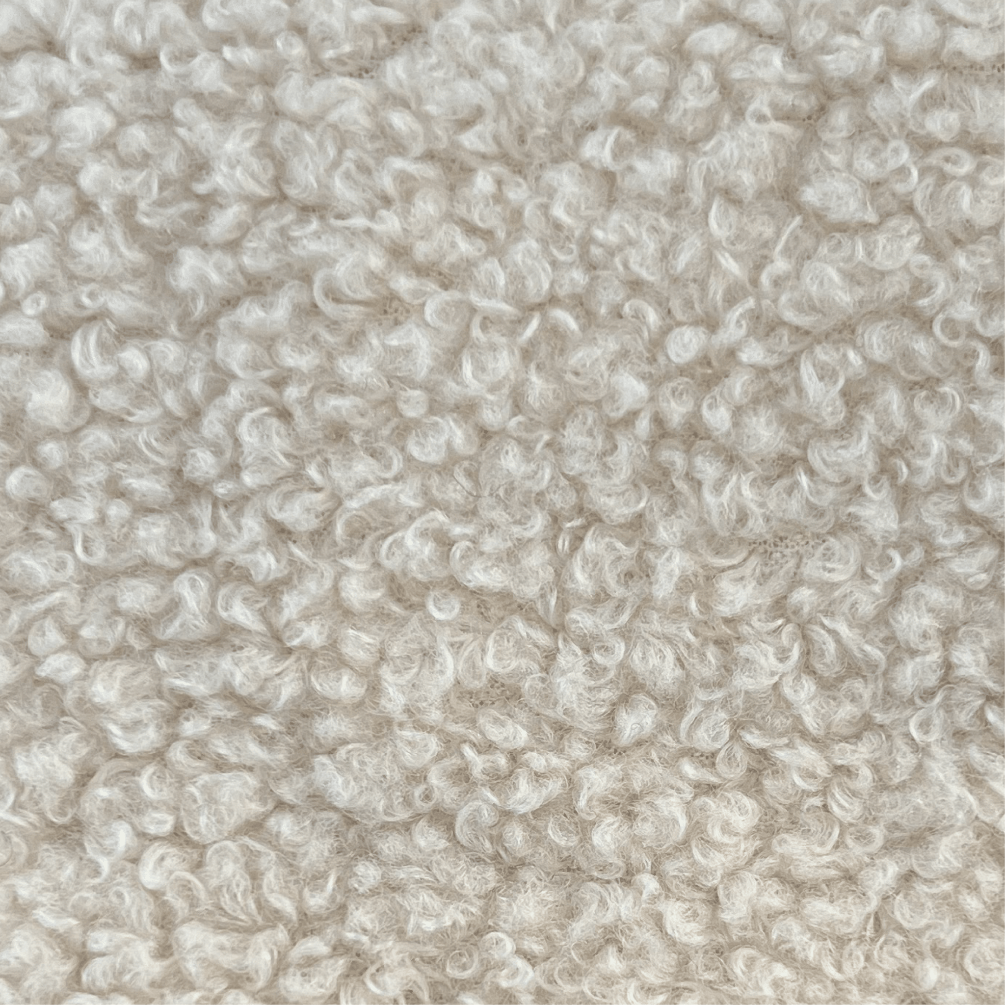 Teddy Velvet - JL Fabric - Artspire Home