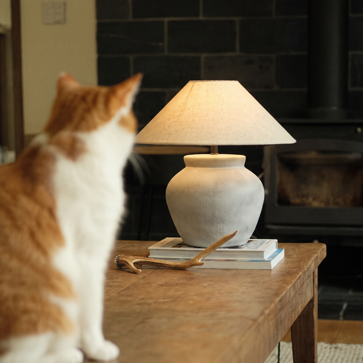 Auvraterra Table Lamp