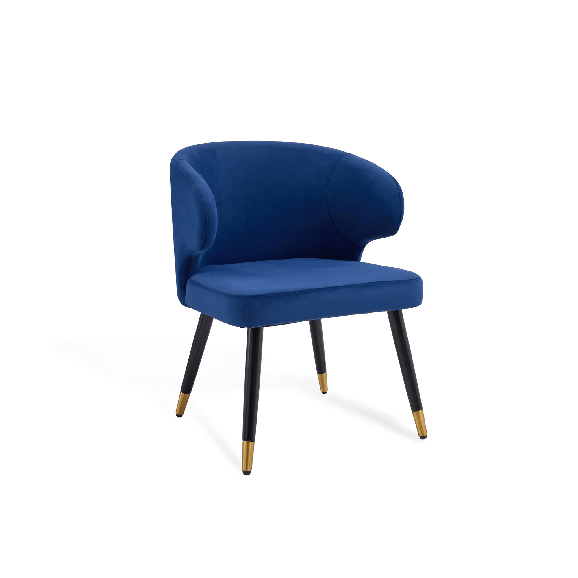 Giusi Dining Chair - Artspire Home