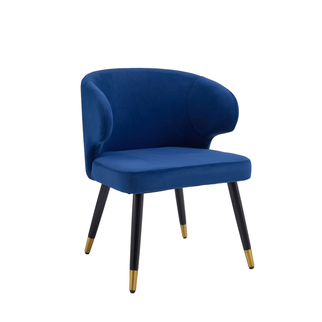 Giusi Dining Chair - Artspire Home