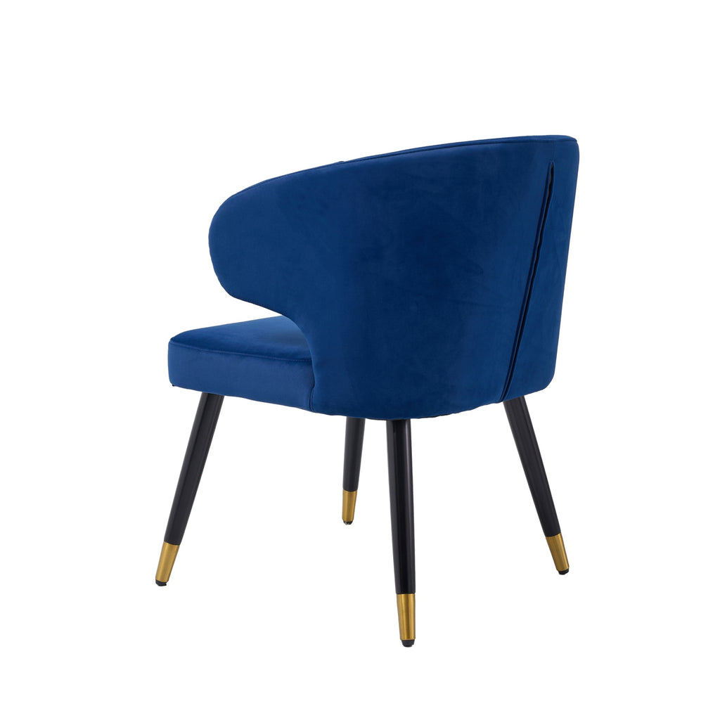 Giusi Dining Chair - Artspire Home