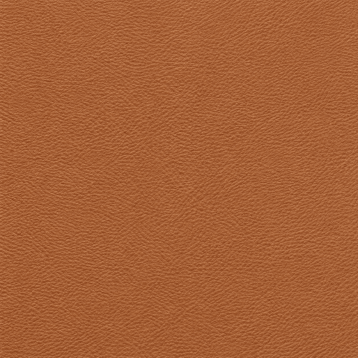 LuxeGrain Faux Leather - 04 - Artspire Home