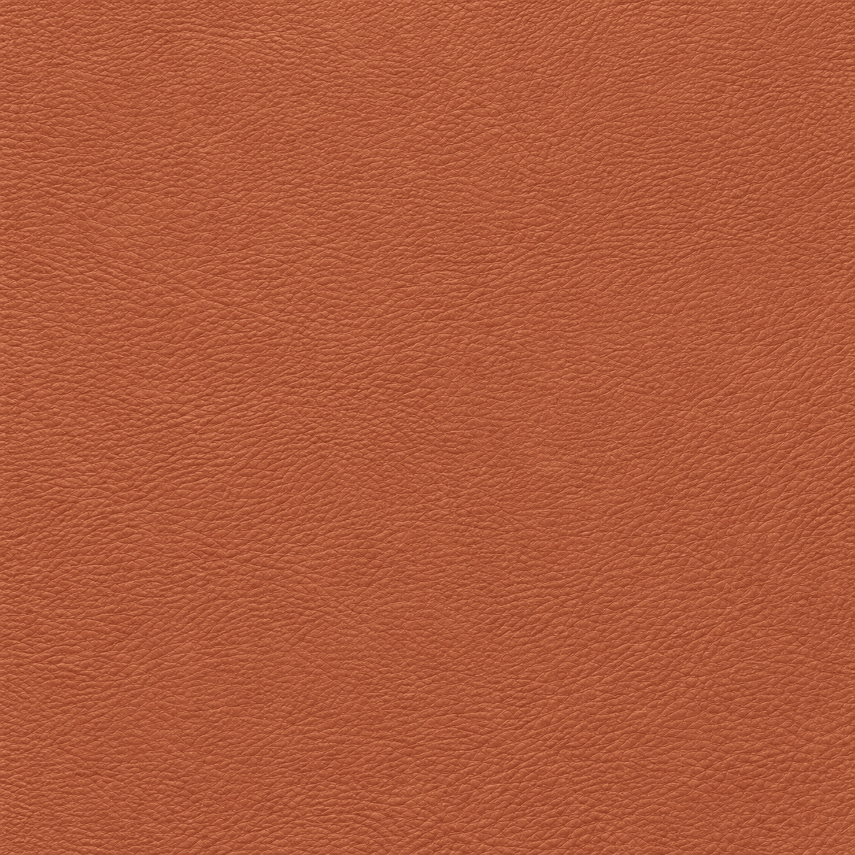 LuxeGrain Faux Leather - 05 - Artspire Home