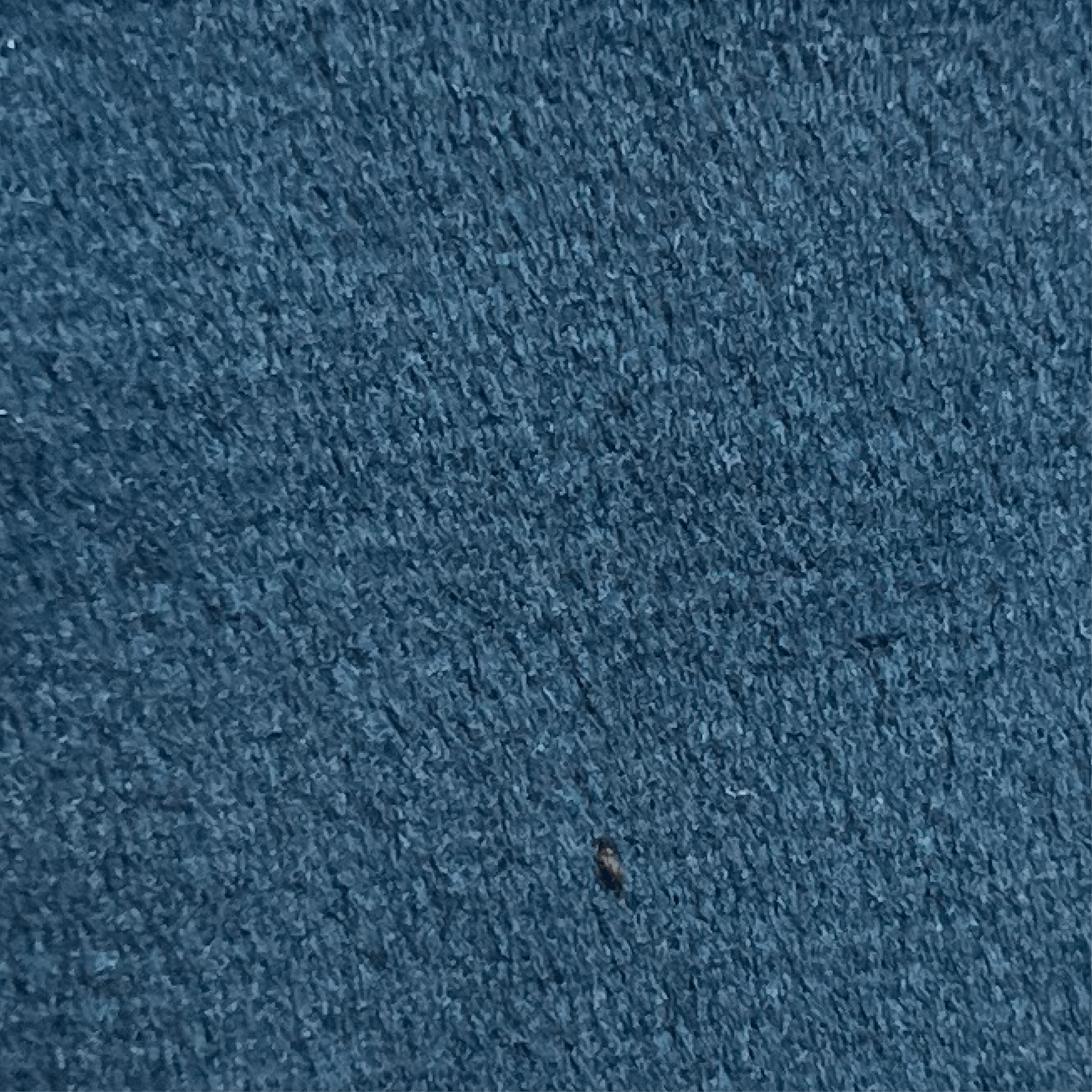 RX Fabric - 61 - Artspire Home