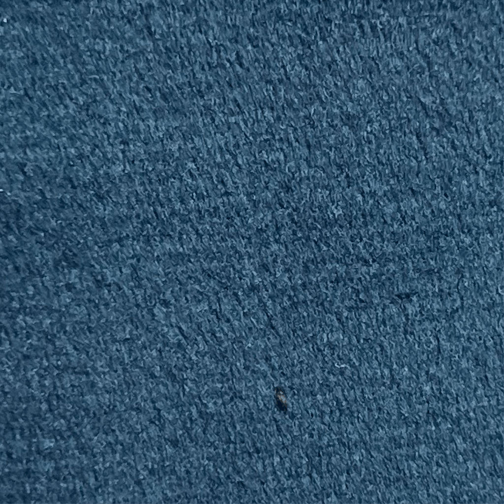 RX Fabric - 61 - Artspire Home
