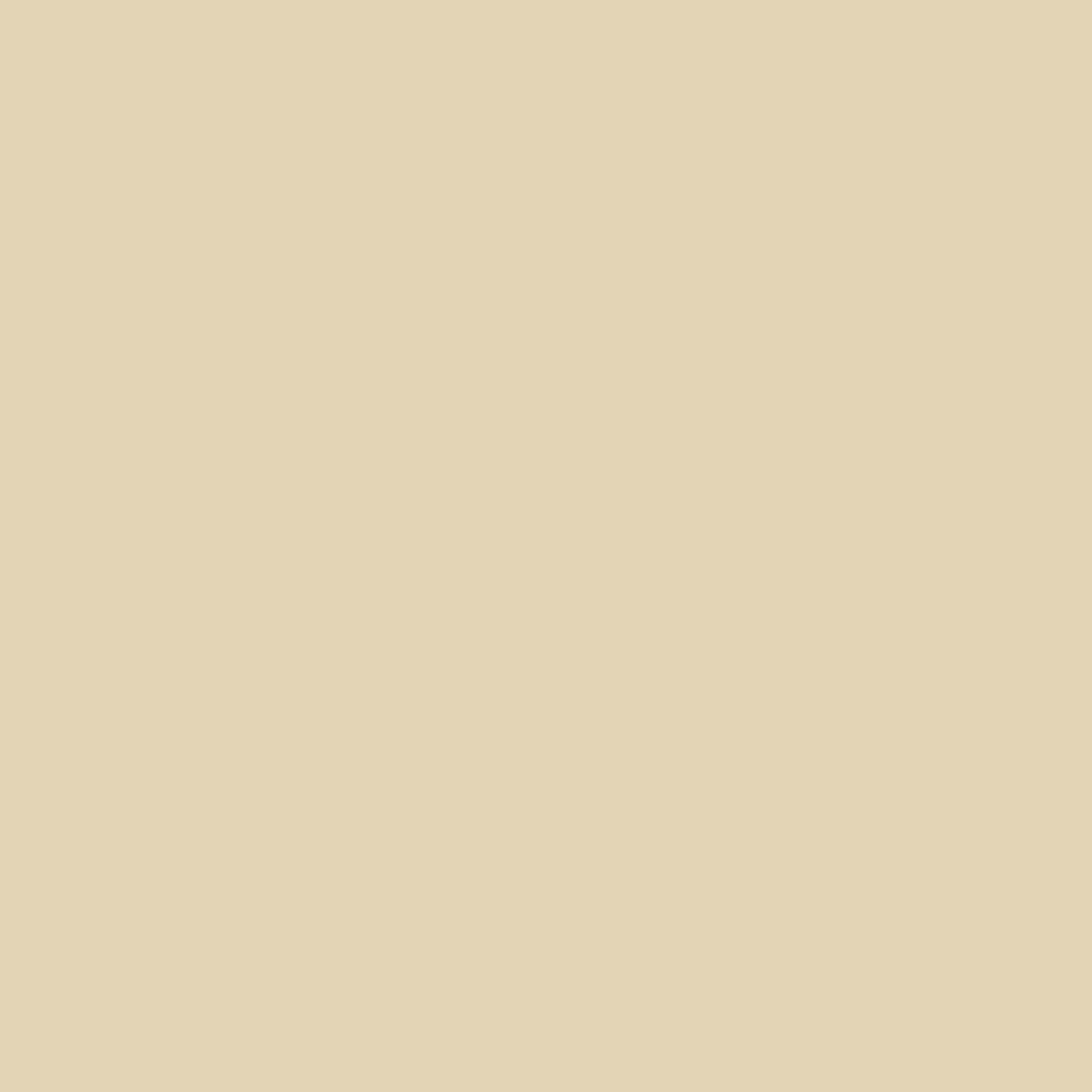 Steel Surface - Cream - Artspire Home