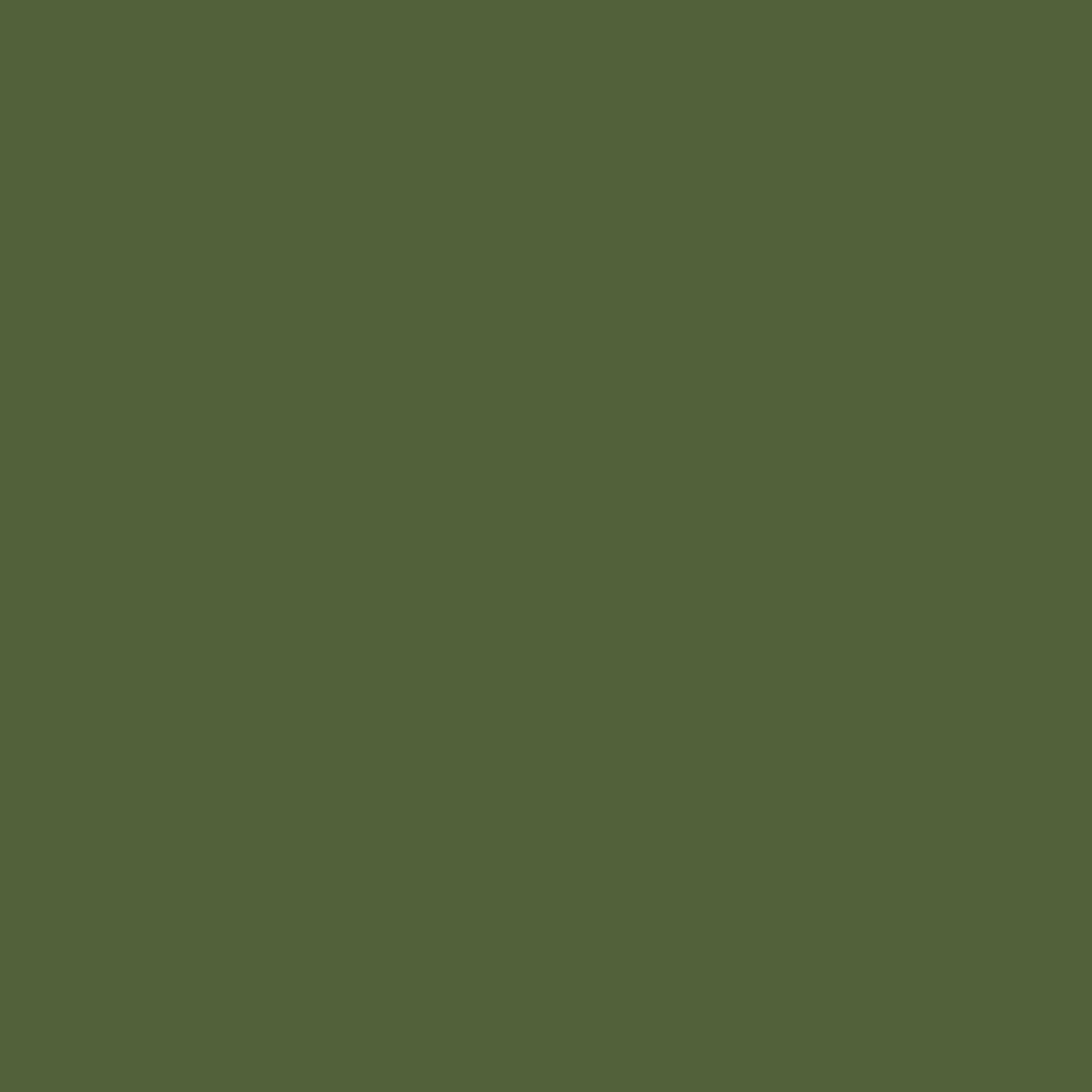 Steel Surface - Olive Green - Artspire Home